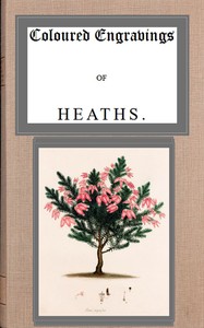 Cover of Coloured engravings of heaths; v...